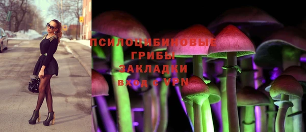 марки lsd Бородино