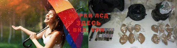 СК Бронницы