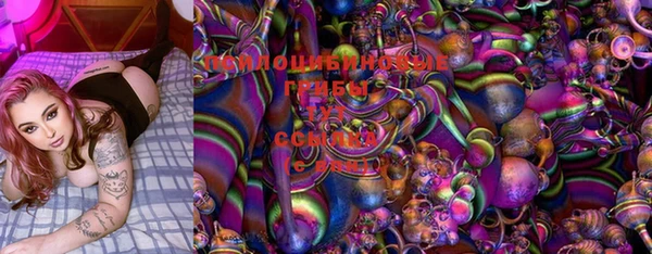 марки lsd Бородино