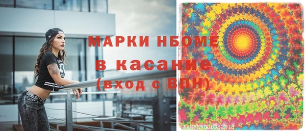 СК Бронницы