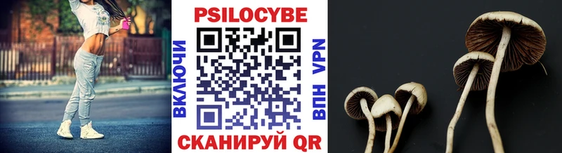 Галлюциногенные грибы Psilocybe  магазин продажи   Нижний Новгород 